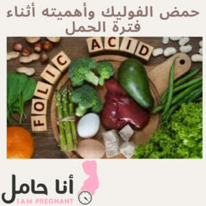 حمض الفوليك وأهميته أثناء فترة الحمل