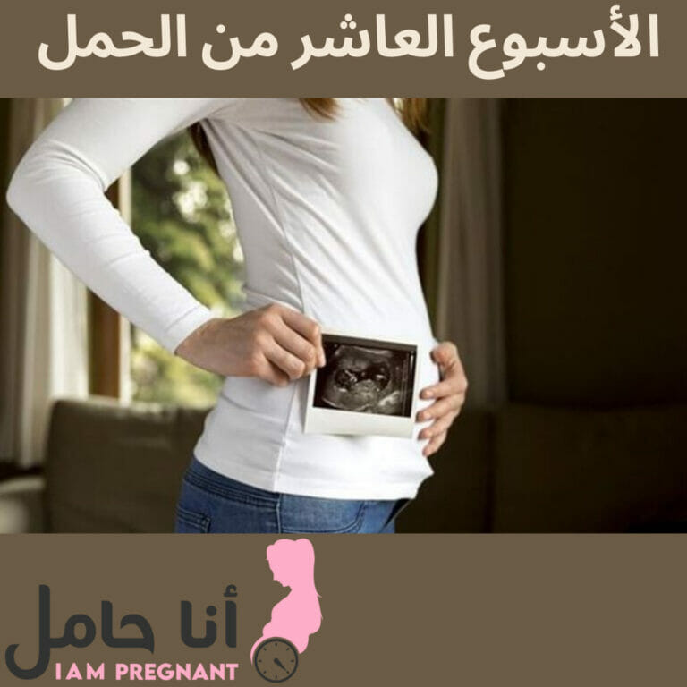الأسبوع العاشر من الحمل