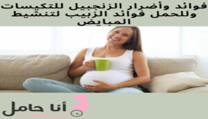 فوائد وأضرار الزنجبيل للتكيسات وللحمل فوائد الزبيب لتنشيط المبايض