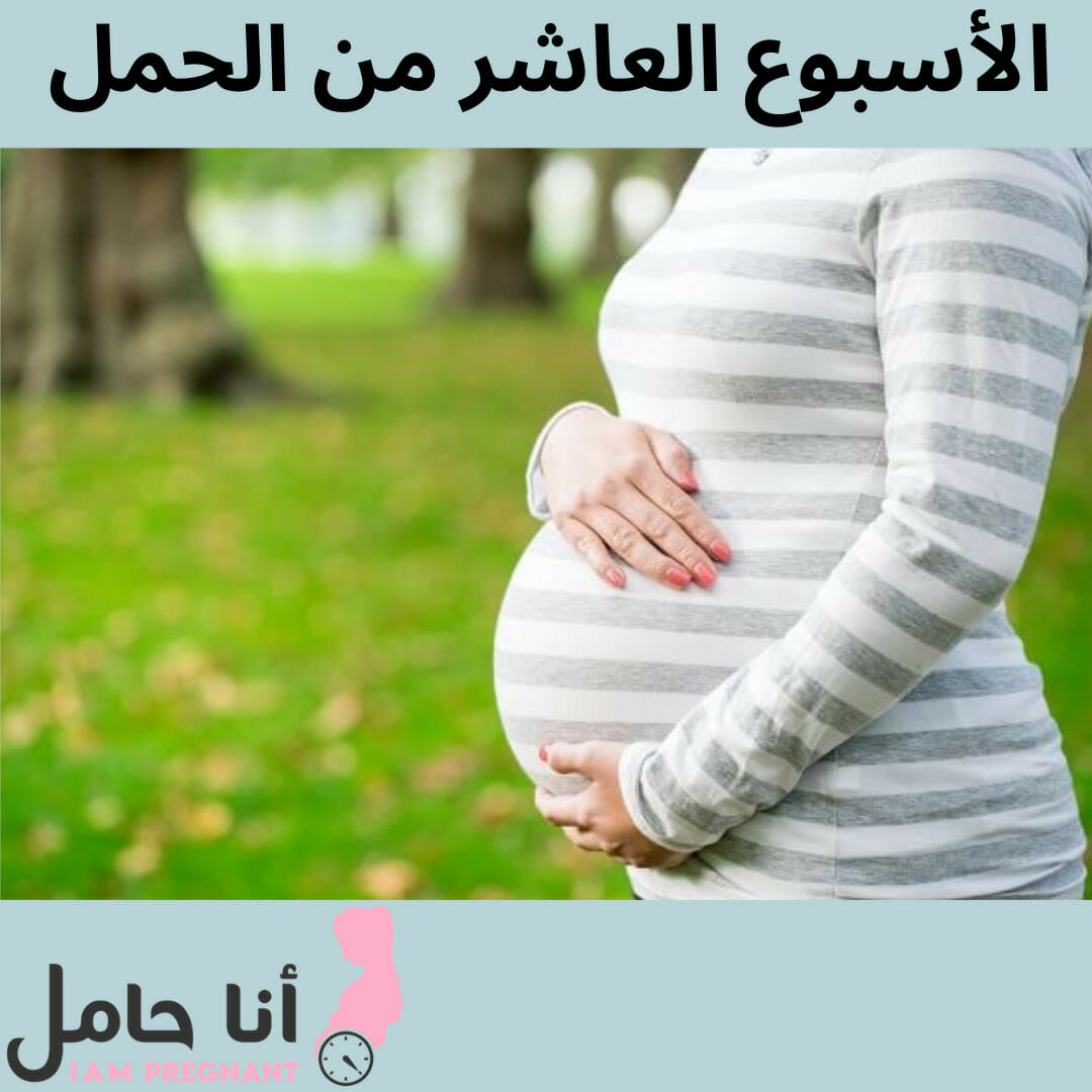 الأسبوع العاشر من الحمل 