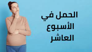 الأسبوع العاشر من الحمل