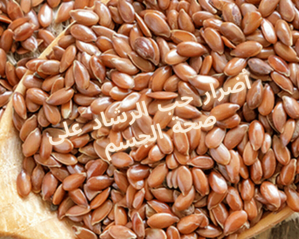 حب الرشاد لتنشيط المبايض وسرعة الإنجاب