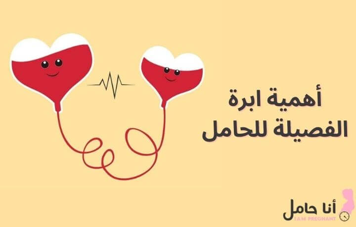 أهمية ابرة الفصيلة للحامل