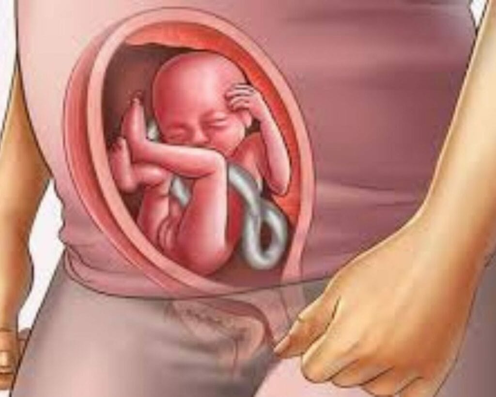 الأسبوع التاسع عشر من الحمل