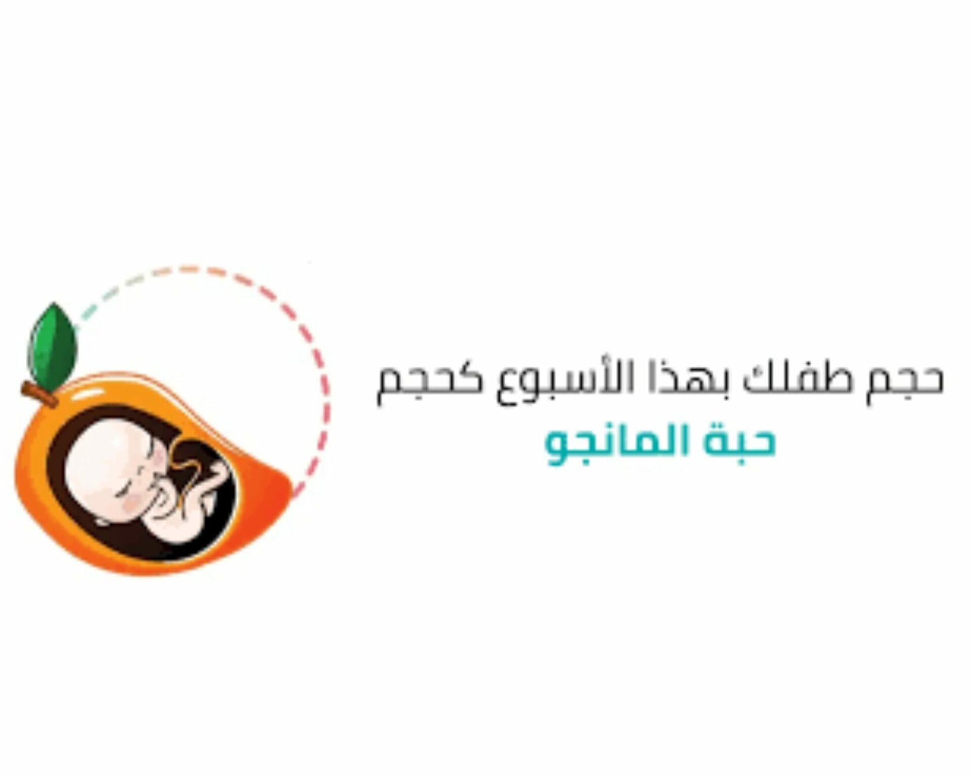 الأسبوع التاسع عشر من الحمل