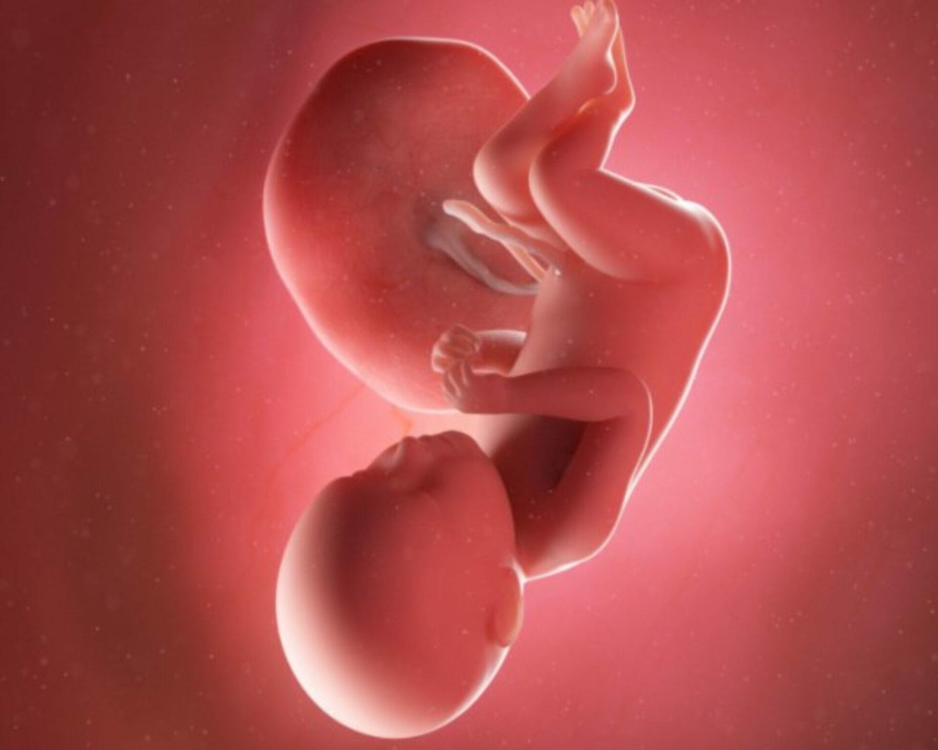 الأسبوع التاسع عشر من الحمل