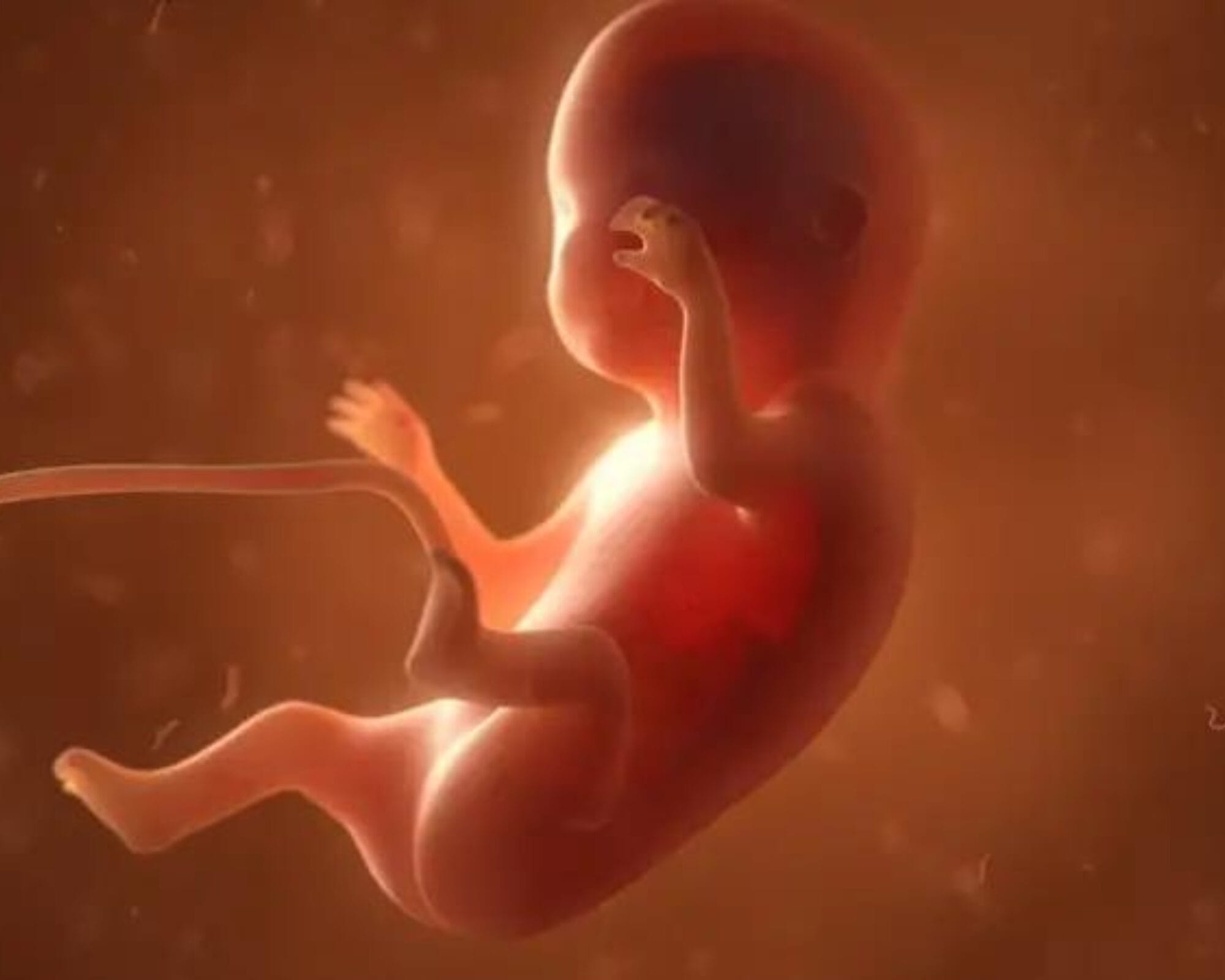 الأسبوع التاسع من الحمل 