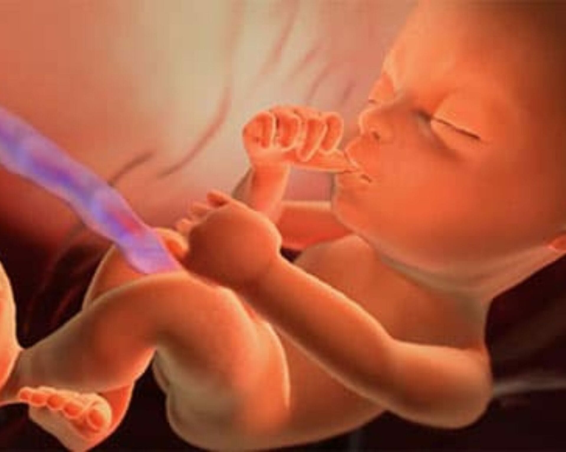 الأسبوع الثالث والعشرون من الحمل