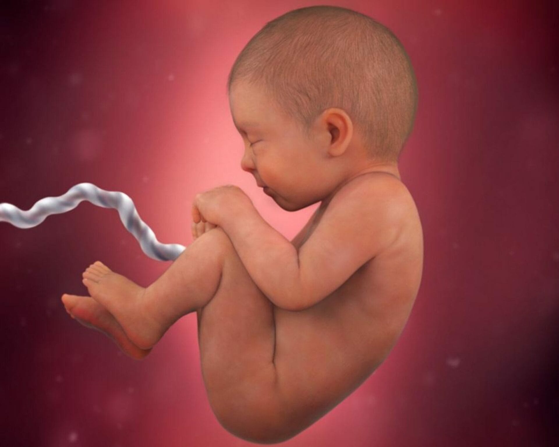 الأسبوع الثامن والعشرون من الحمل