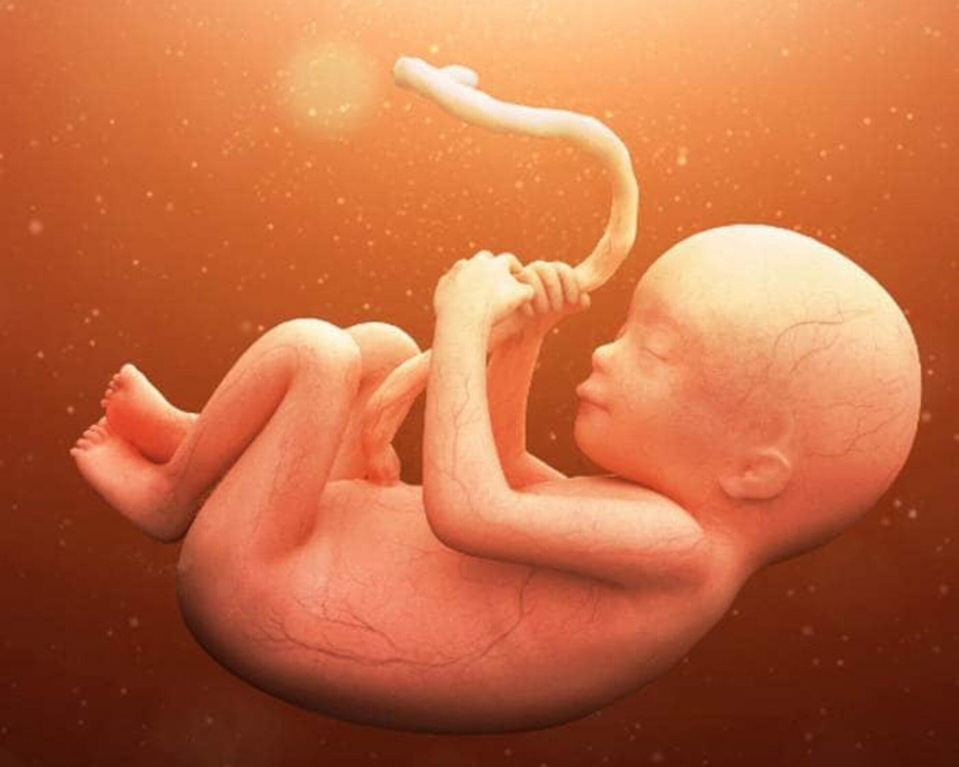 الأسبوع الثامن والعشرون من الحمل