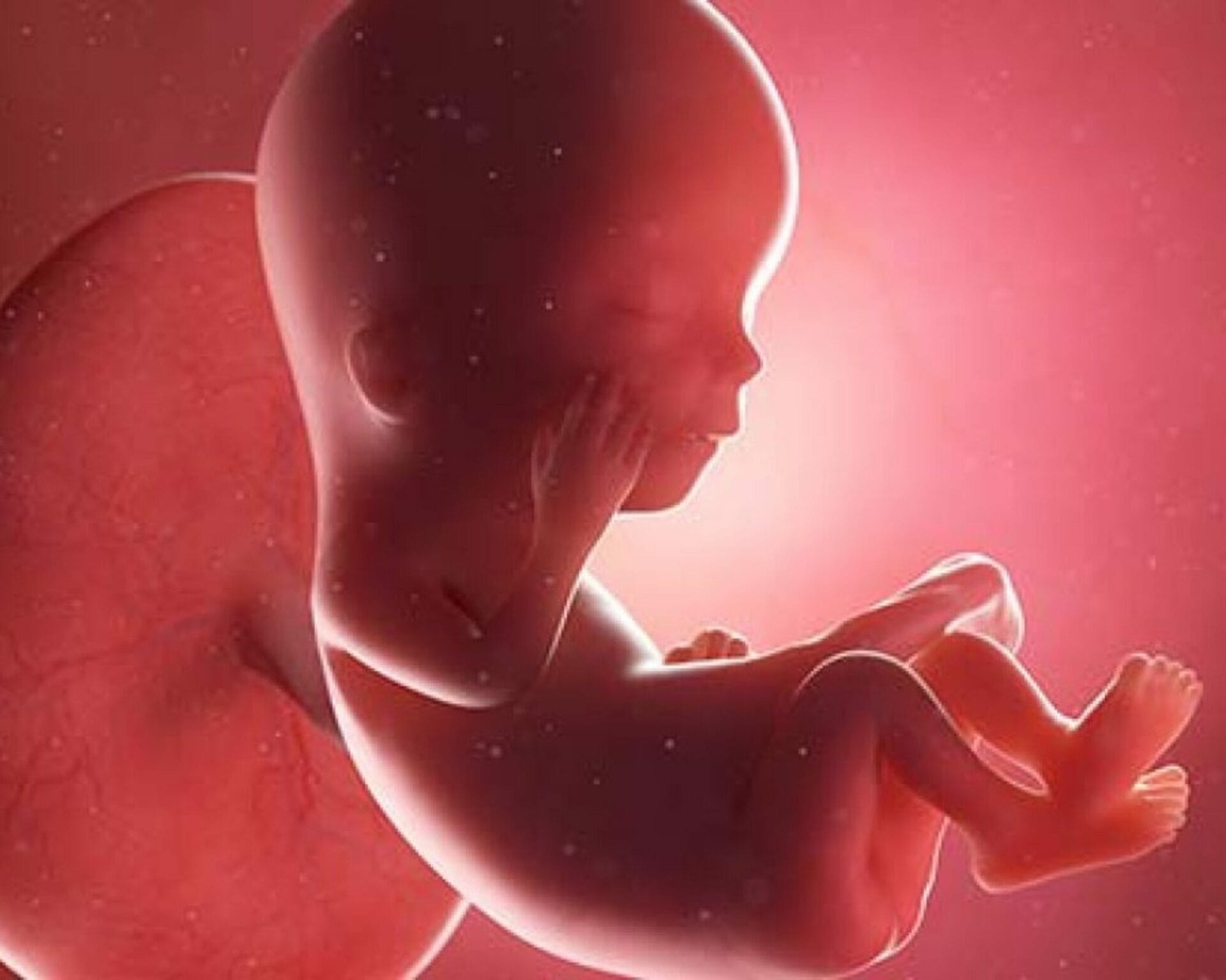 الأسبوع الثاني عشر من الحمل