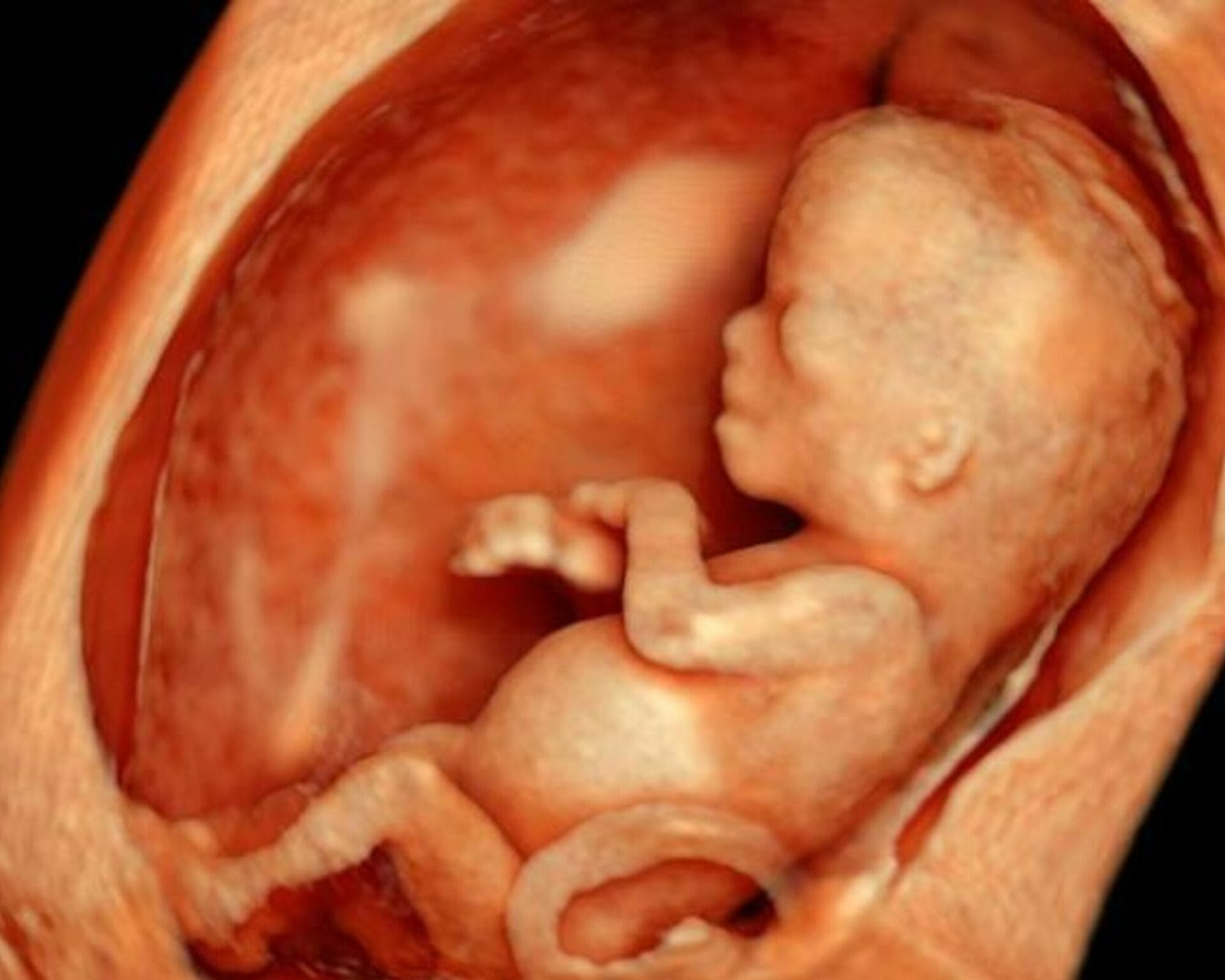 الأسبوع الثاني عشر من الحمل