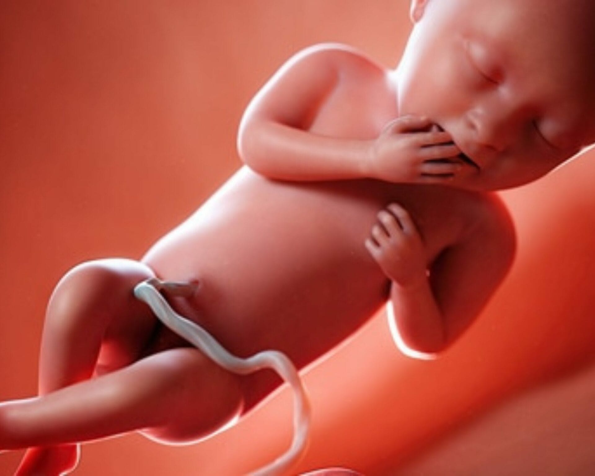 الأسبوع الثاني والثلاثون من الحمل