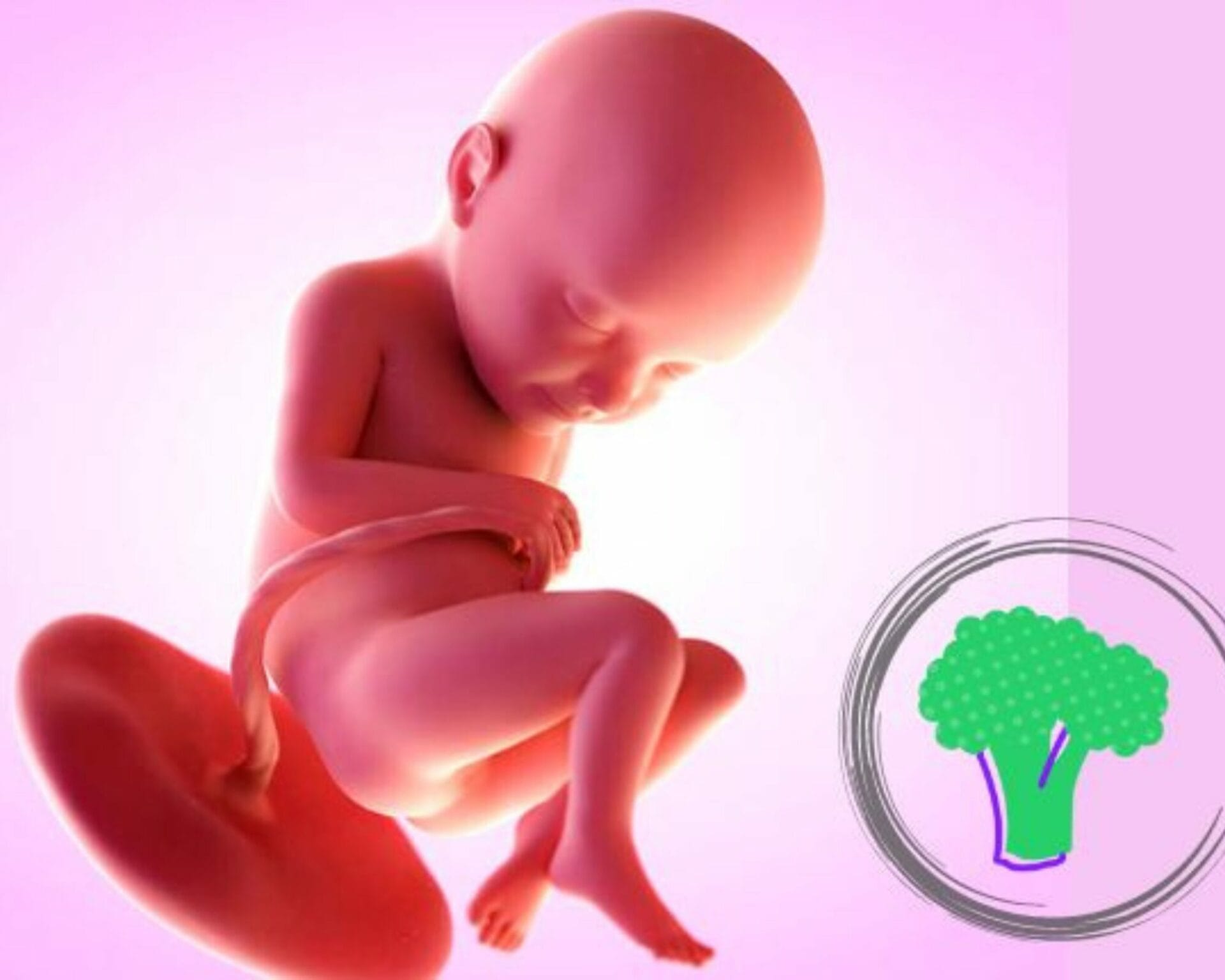 الأسبوع الثاني والثلاثون من الحمل