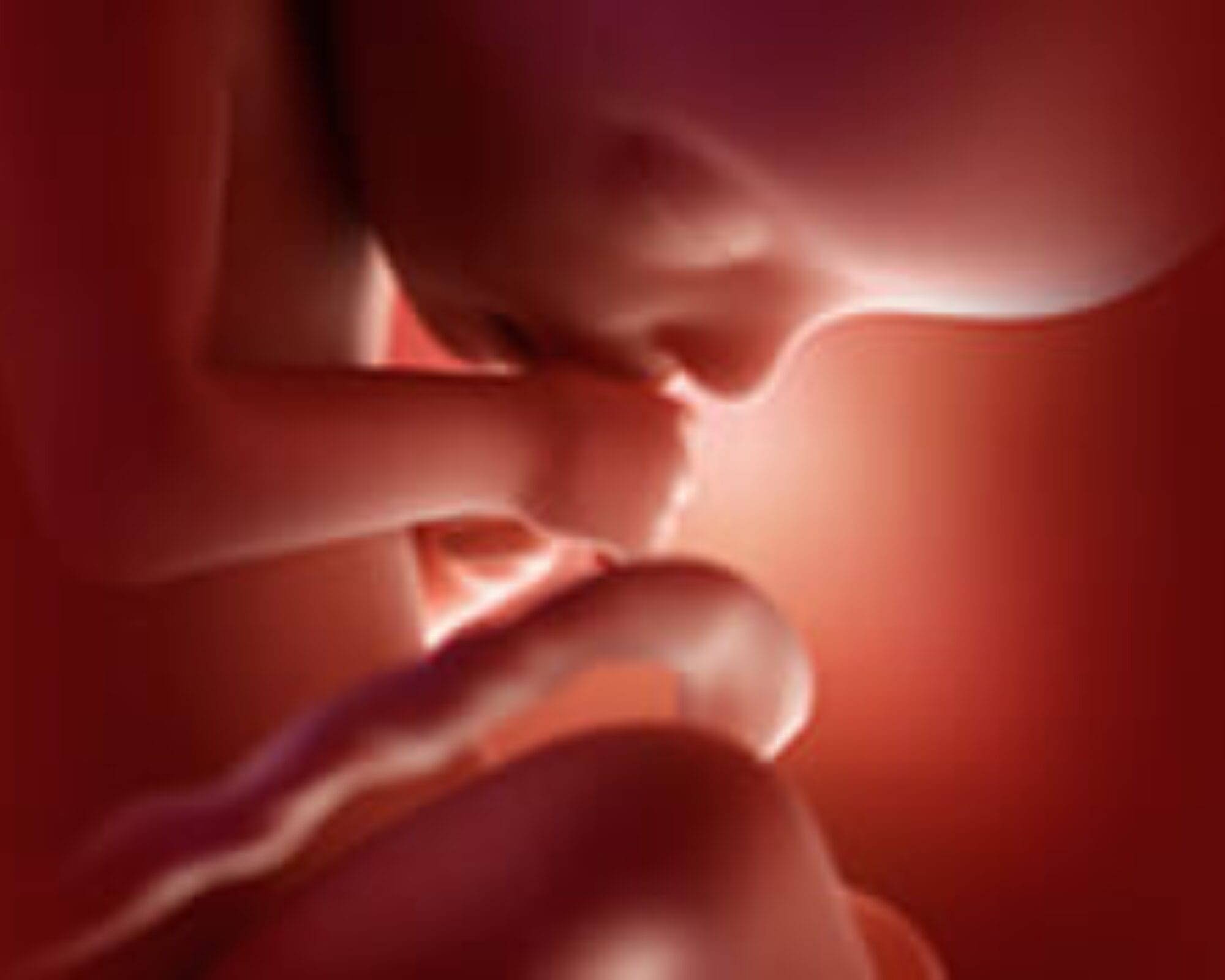 الأسبوع الثاني والعشرون من الحمل