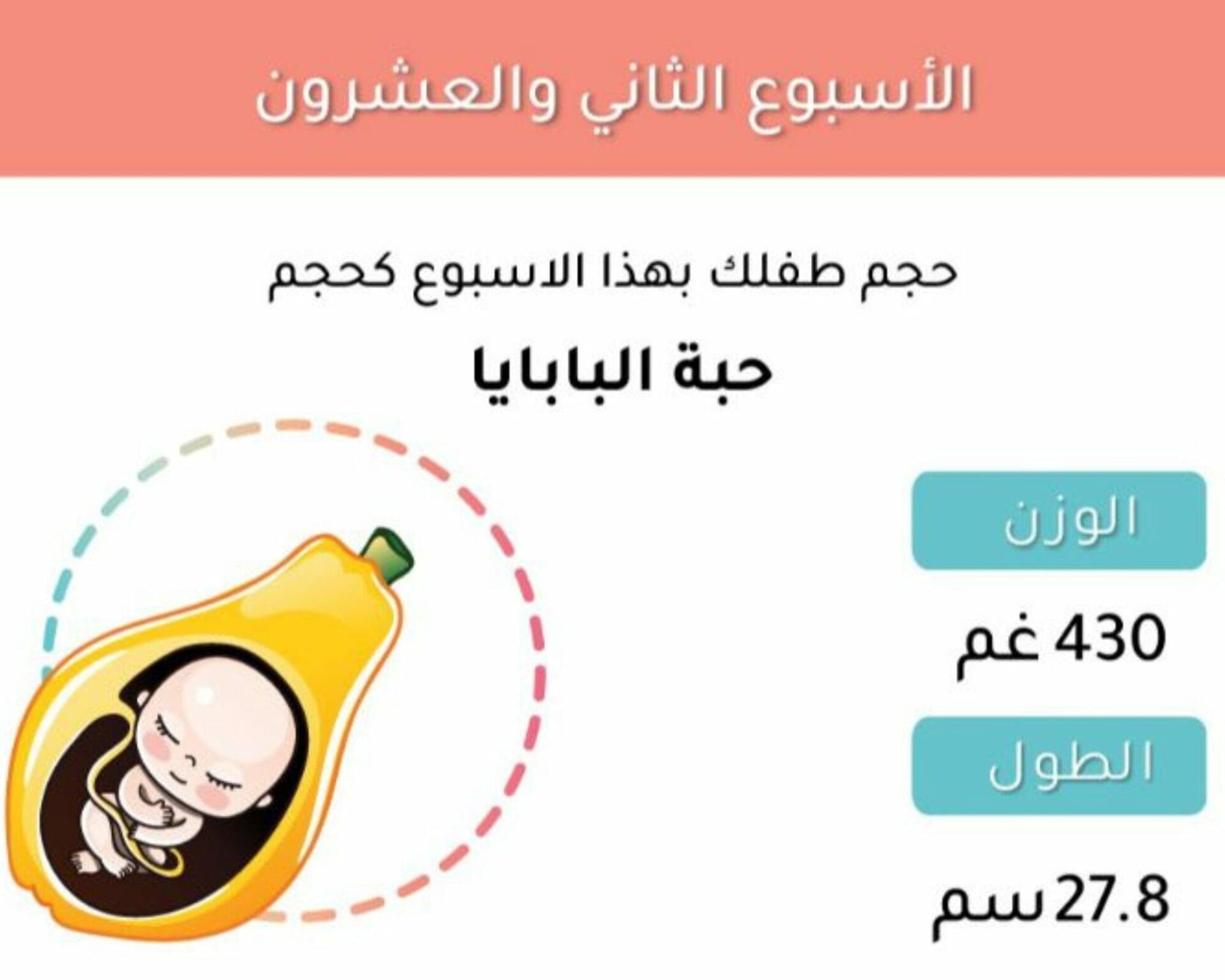 الأسبوع الثاني والعشرون من الحمل