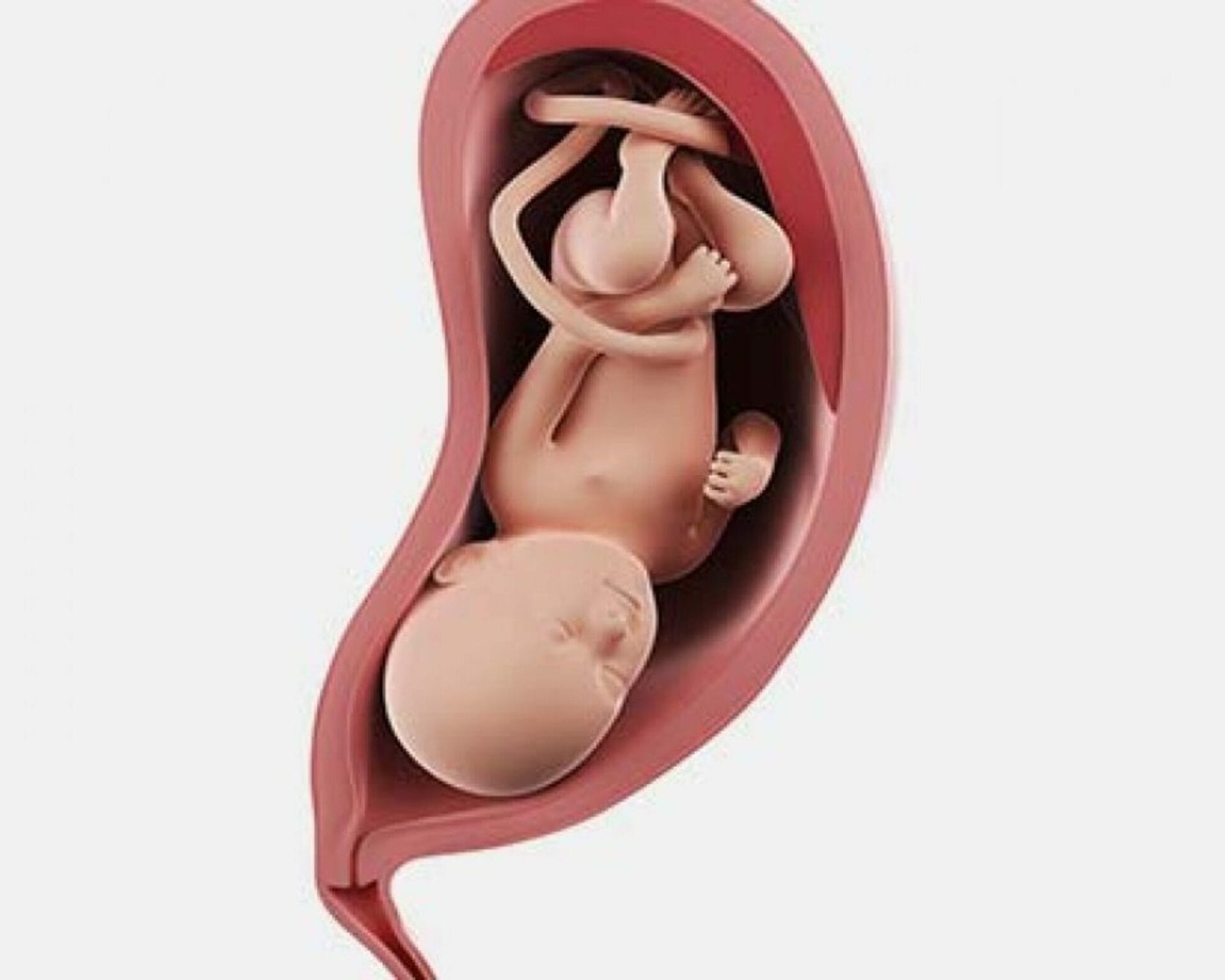 الأسبوع الثلاثون من الحمل