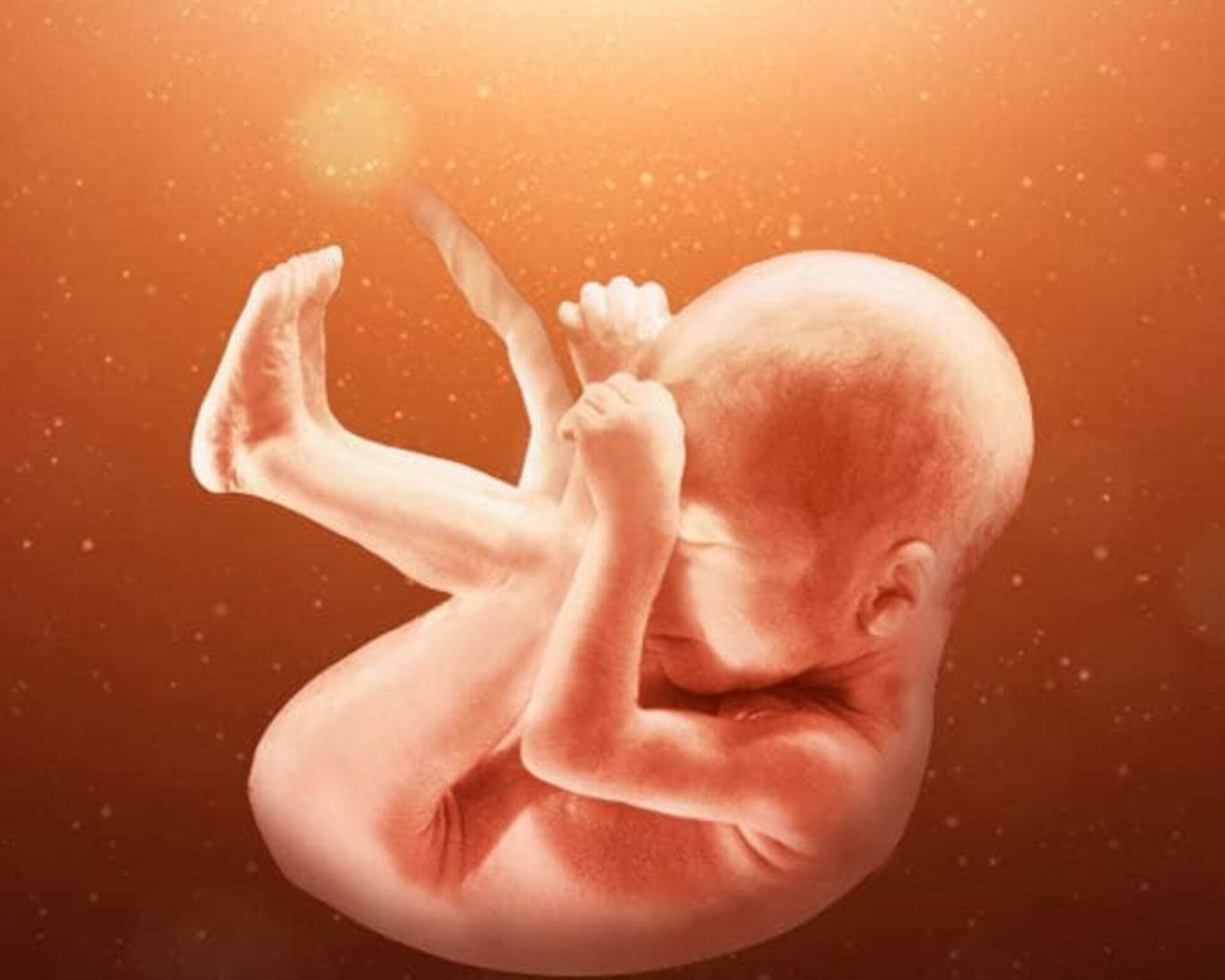 الأسبوع الثلاثون من الحمل