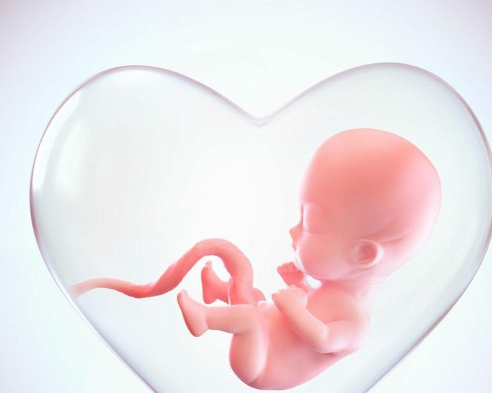 الأسبوع الحادي والعشرون من الحمل