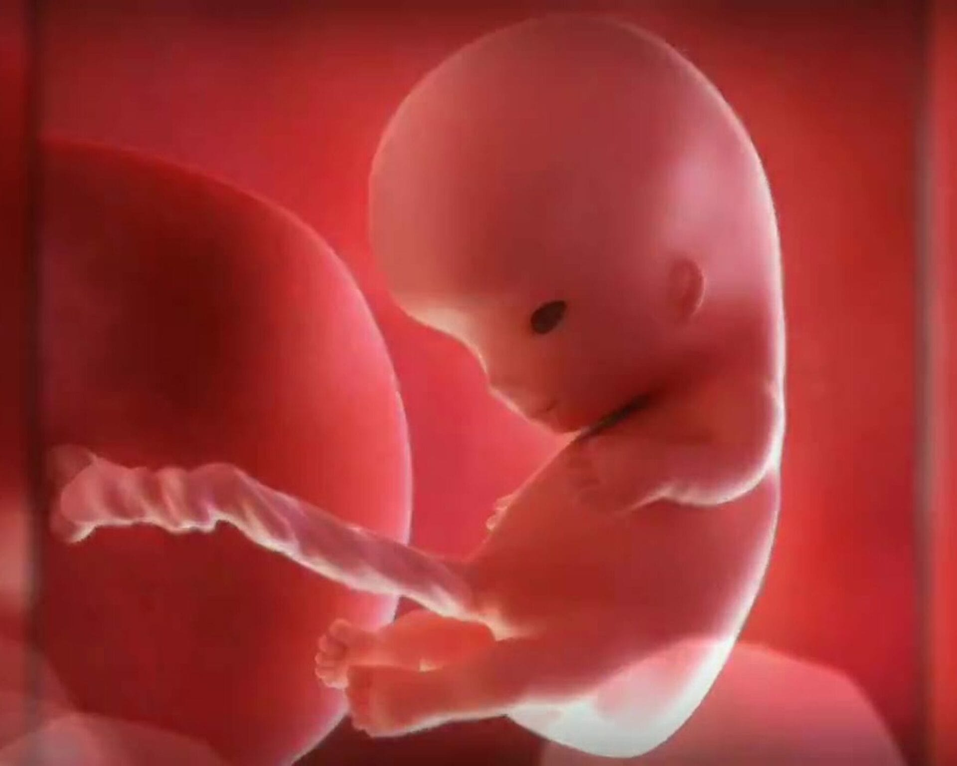 الأسبوع الرابع عشر من الحمل