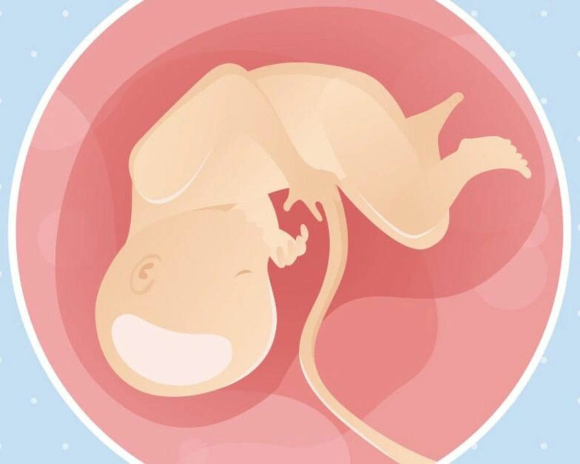 الأسبوع الرابع والثلاثون من الحمل