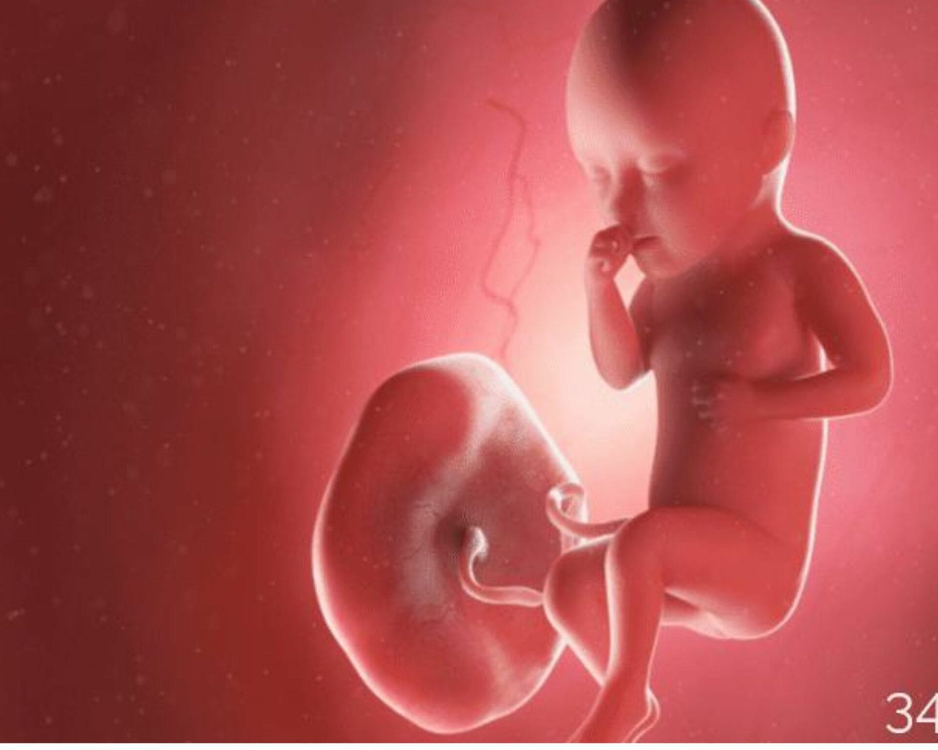 الأسبوع الرابع والثلاثون من الحمل