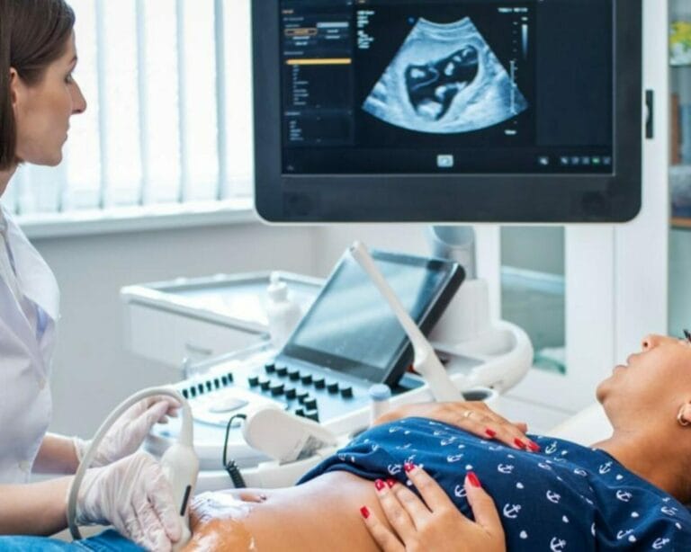 الأسبوع السابع عشر من الحمل