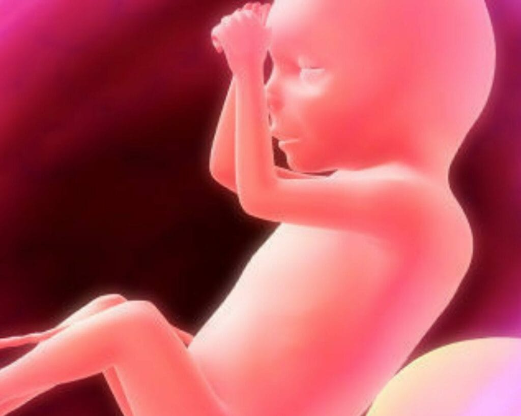 الأسبوع السابع والثلاثون من الحمل