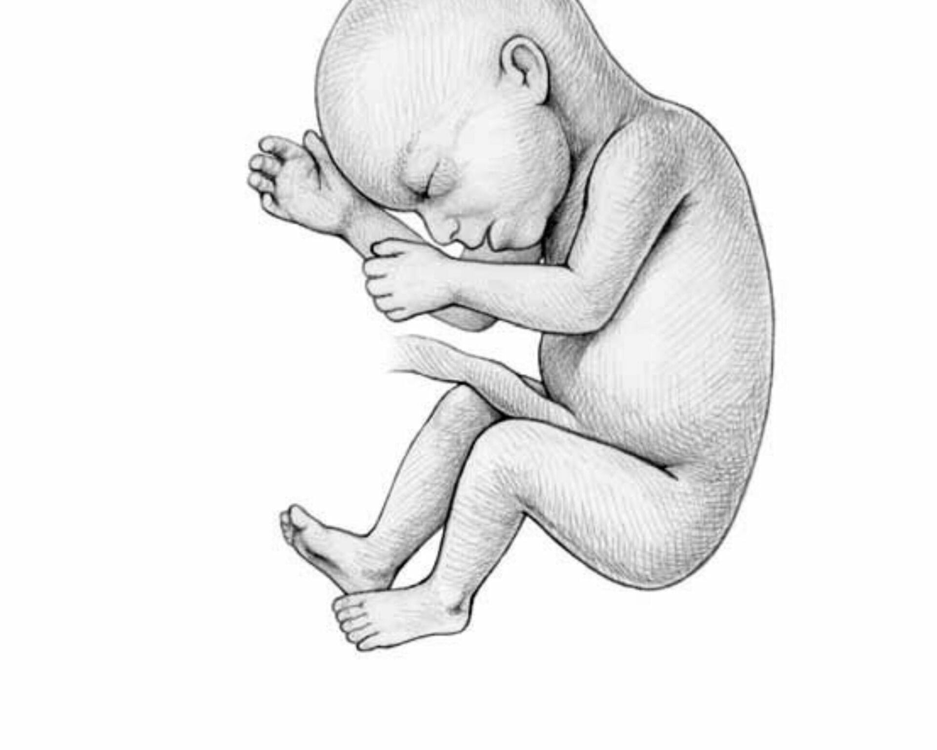 الأسبوع السادس والعشرون من الحمل