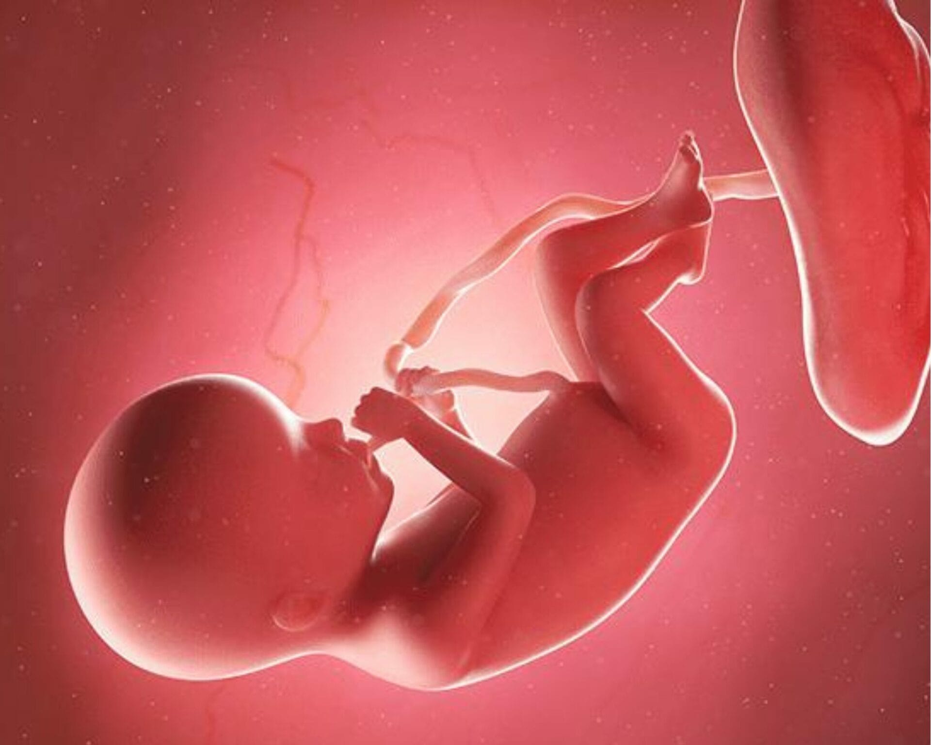 الأسبوع العشرون من الحمل