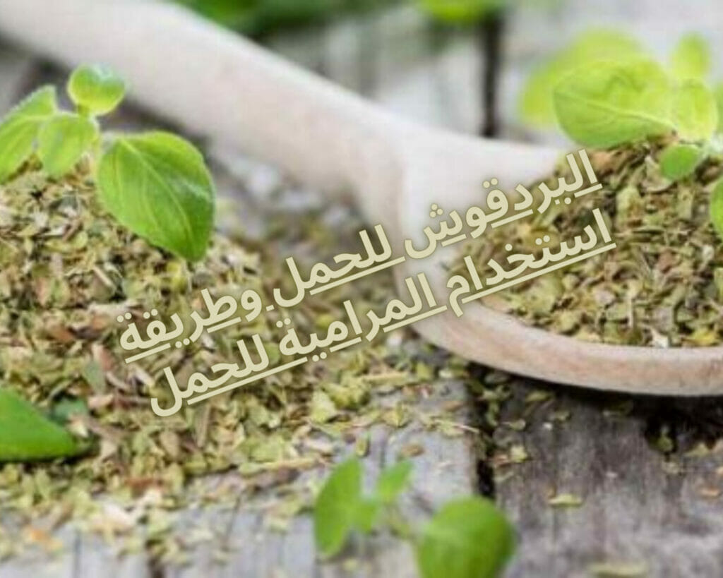 البردقوش للحمل وطريقة استخدام المرامية للحمل