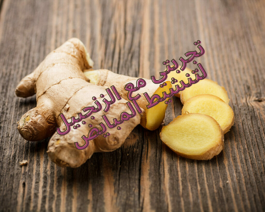 فوائد وأضرار الزنجبيل للتكيسات