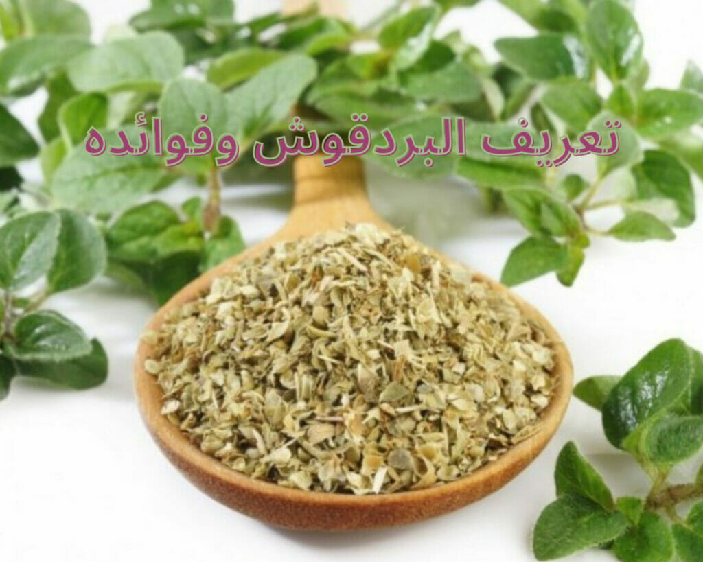 البردقوش للحمل وطريقة استخدام المرامية للحمل