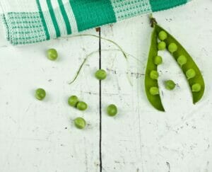 حجم الجنين في الأسبوع السادس من الحمل