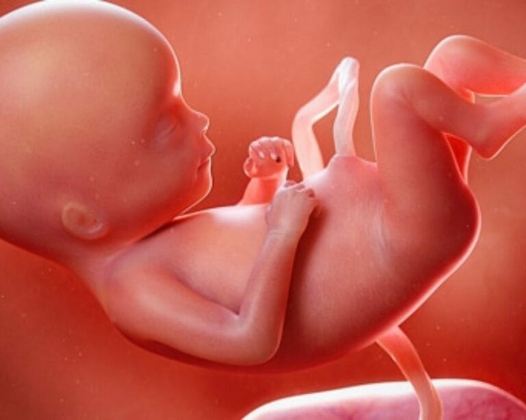 الأسبوع التاسع والعشرون من الحمل