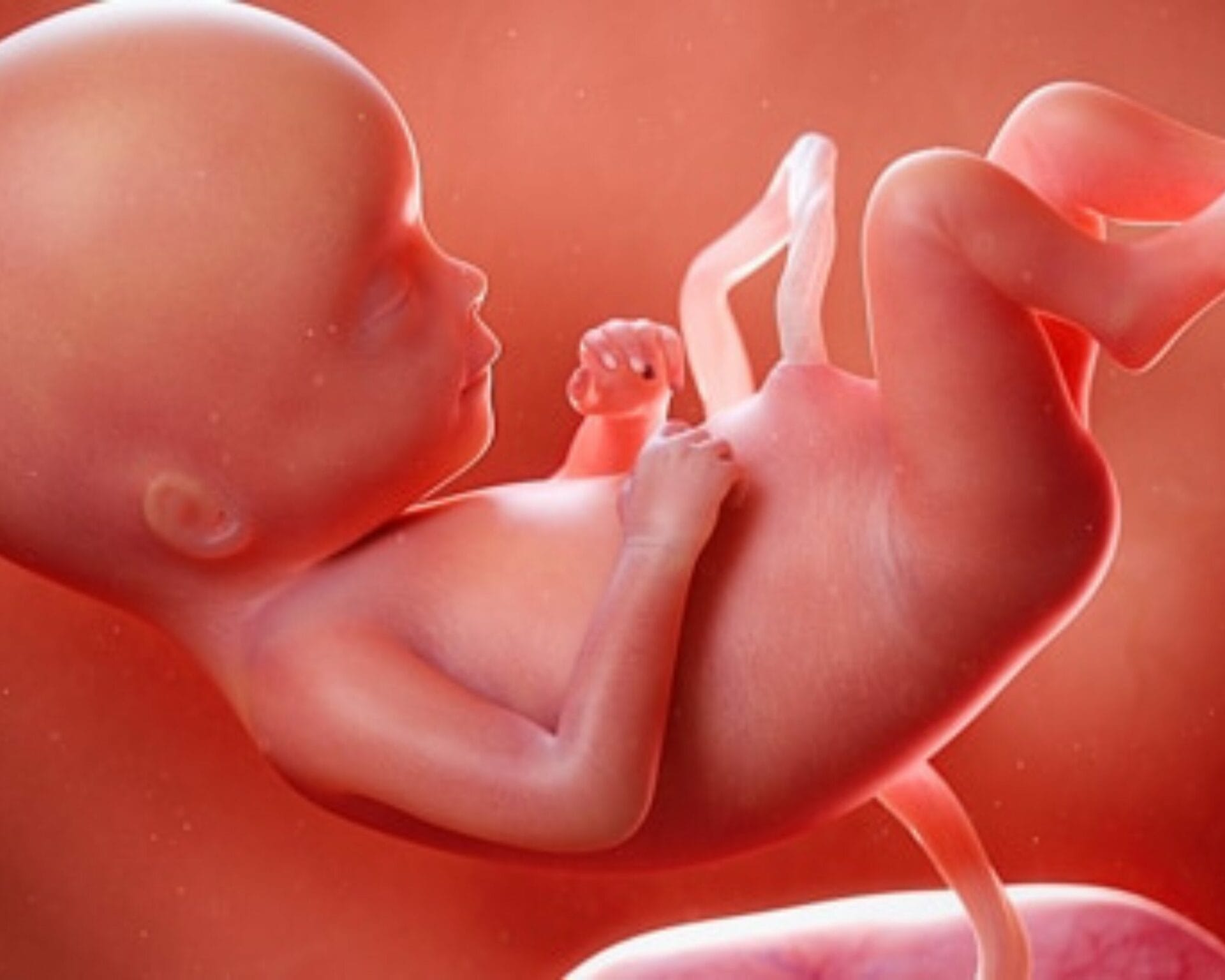 الأسبوع التاسع والعشرون من الحمل