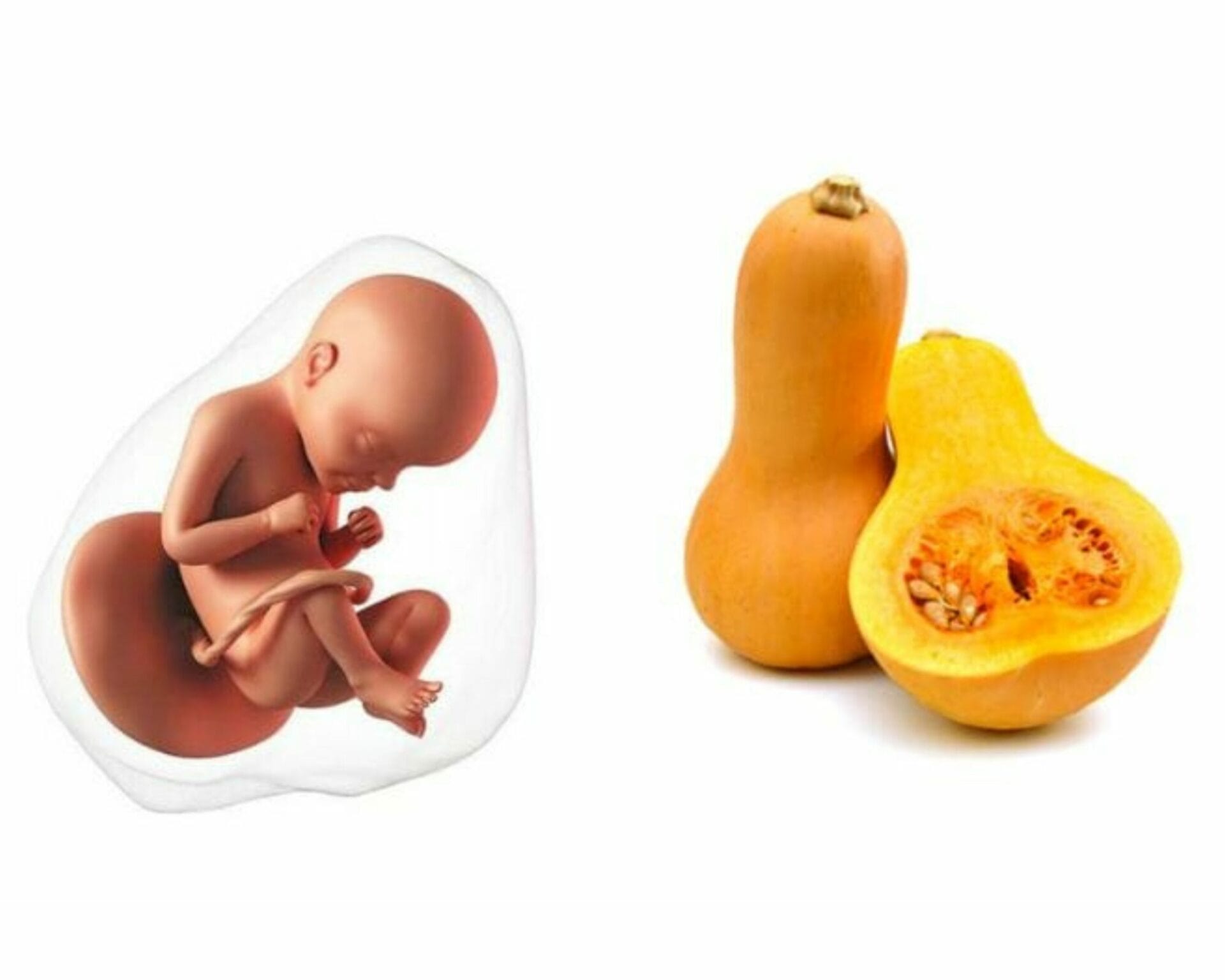 الأسبوع التاسع والعشرون من الحمل