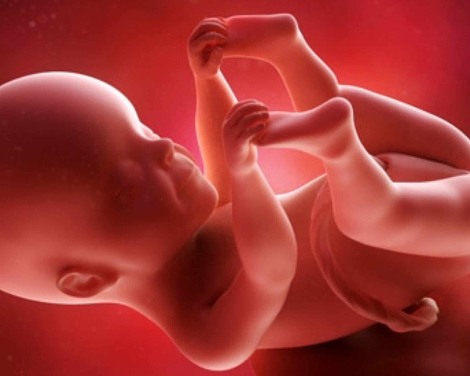 الأسبوع الخامس عشر من الحمل