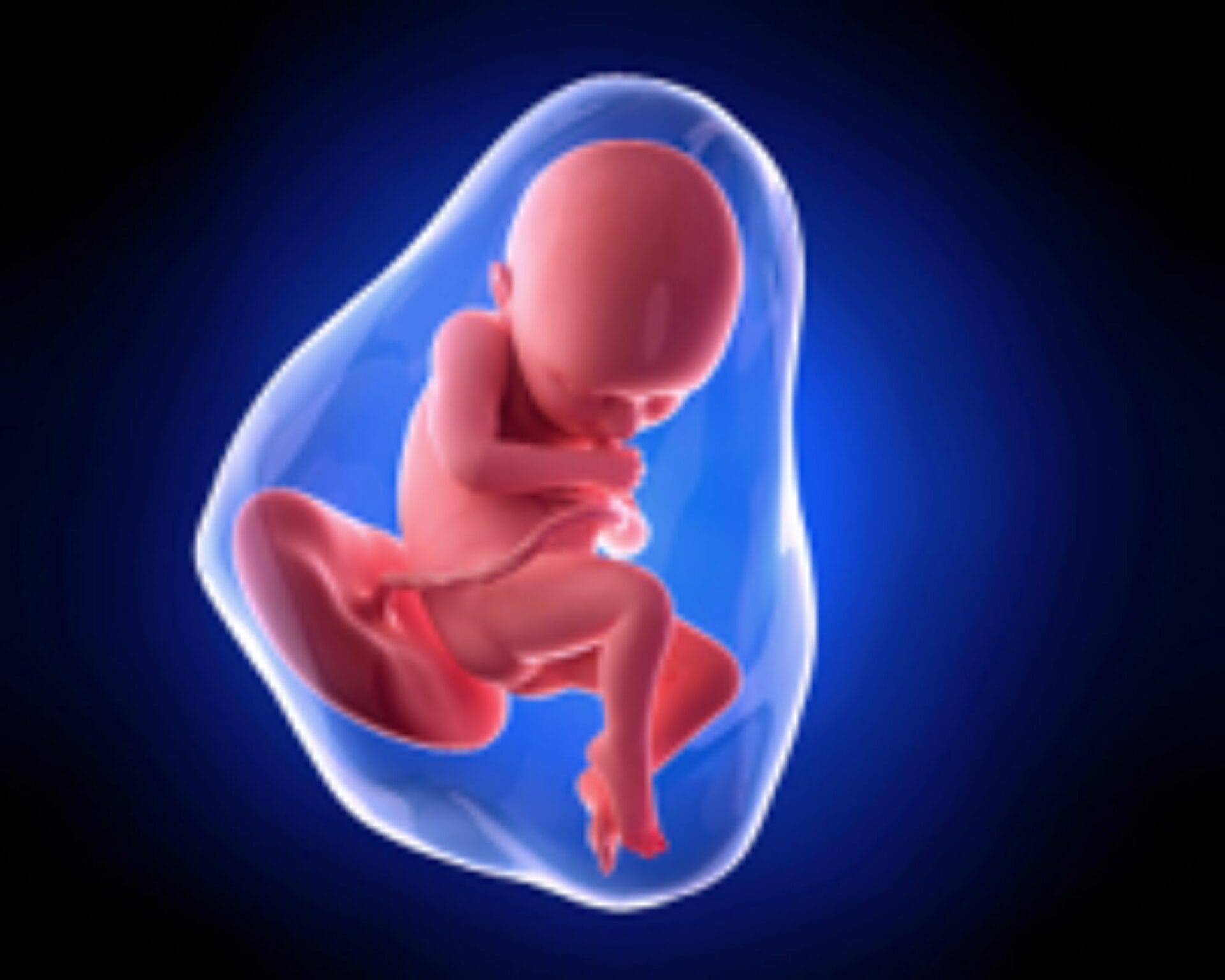 الأسبوع الخامس والثلاثين من الحمل