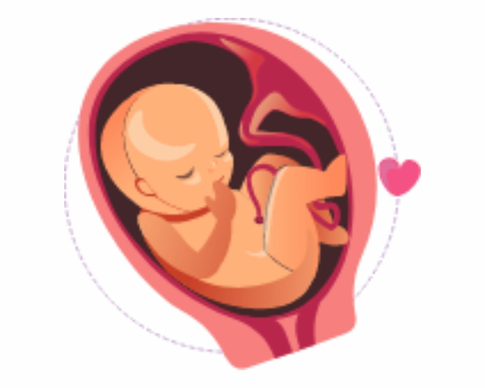 الأسبوع الخامس والثلاثين من الحمل