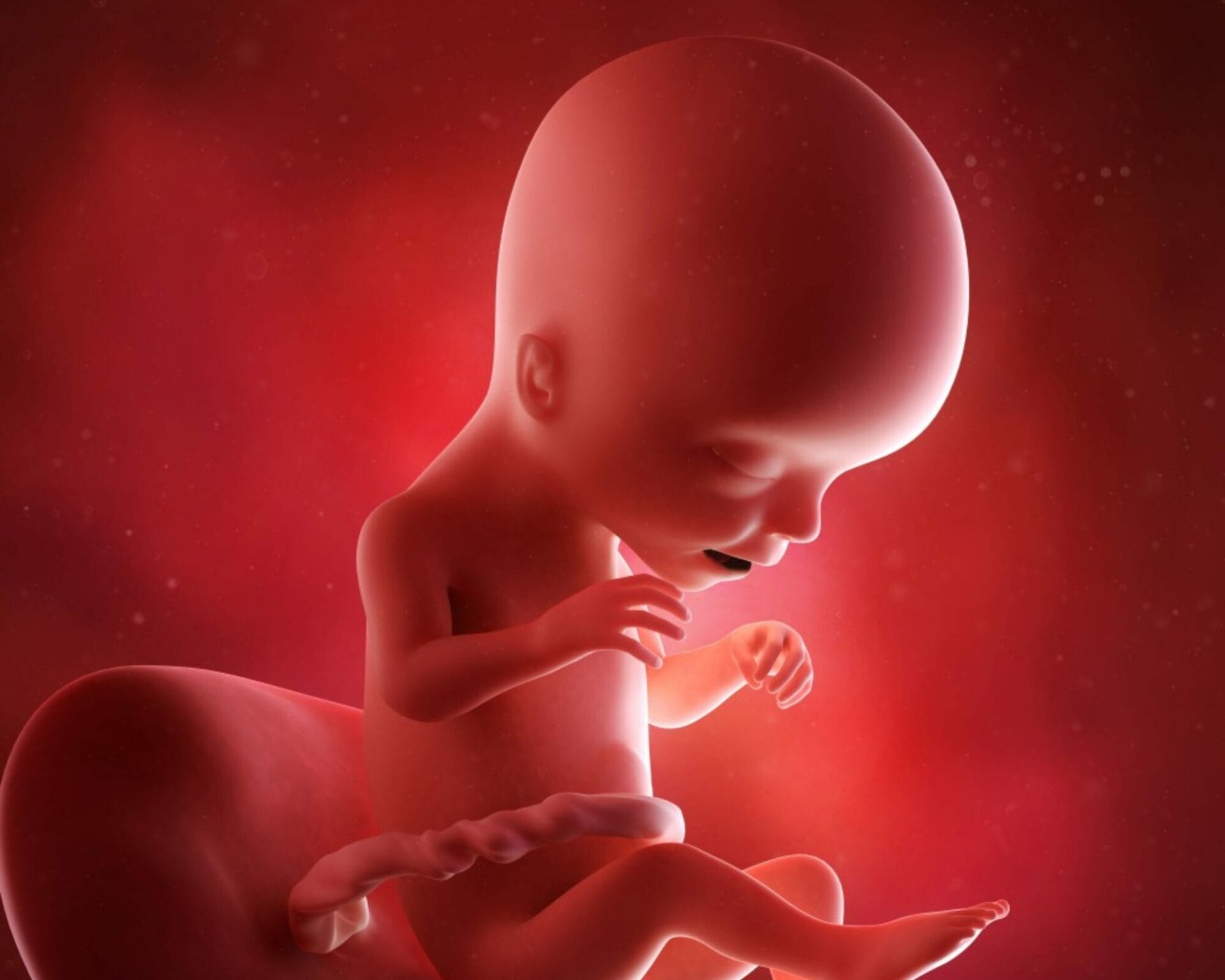 الأسبوع السادس عشر من الحمل