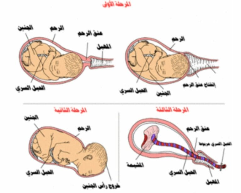 الأسبوع الواحد والأربعين من الحمل