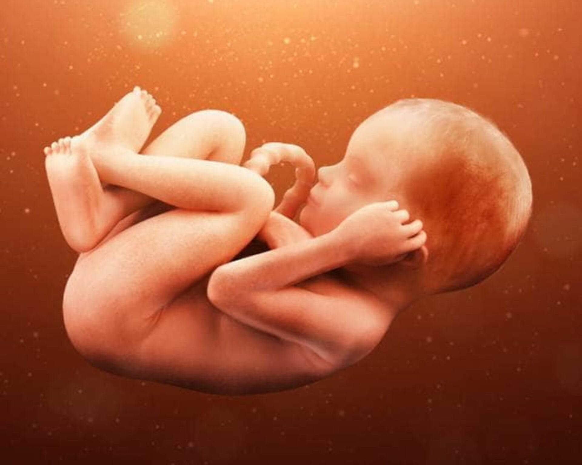 الاسبوع السادس والثلاثين من الحمل 