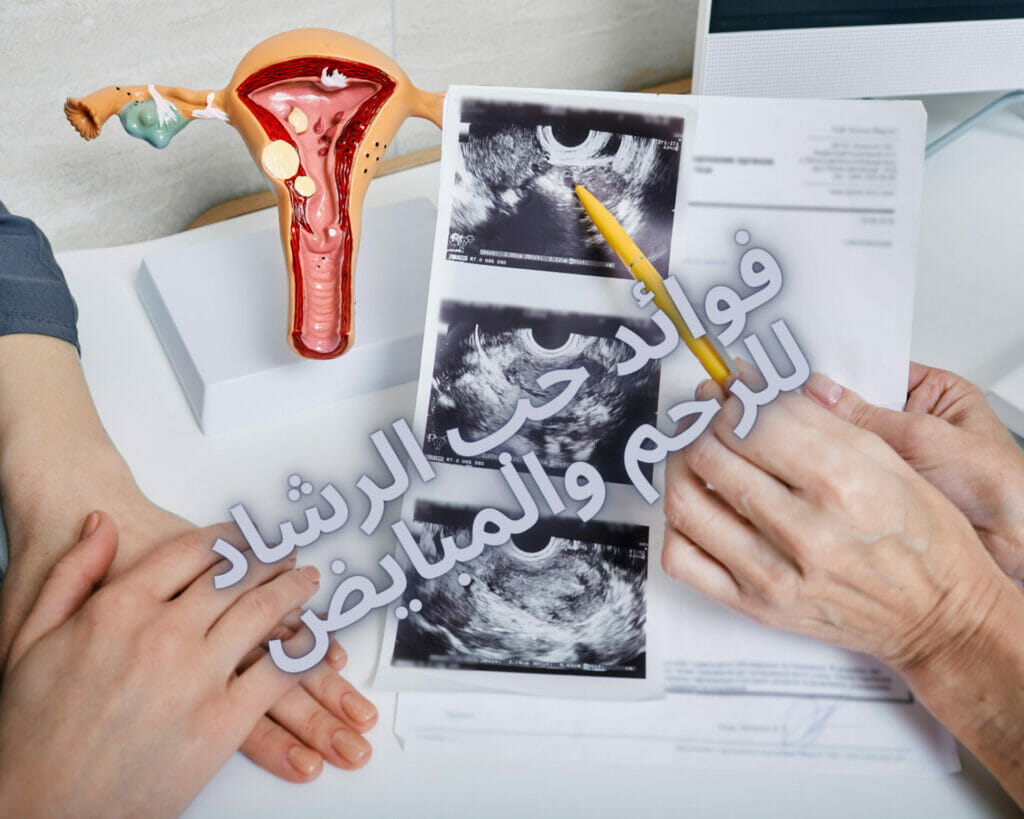 فوائد حب الرشاد للرحم والمبايض