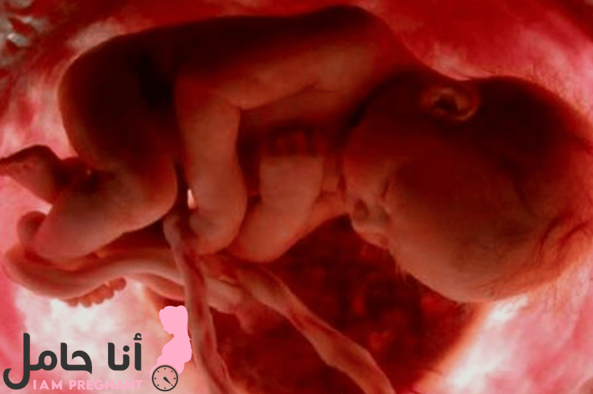 هل حازوقة الجنين في الشهر التاسع خطر