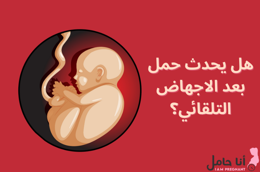 الحمل بعد الإجهاض التلقائي  (1)