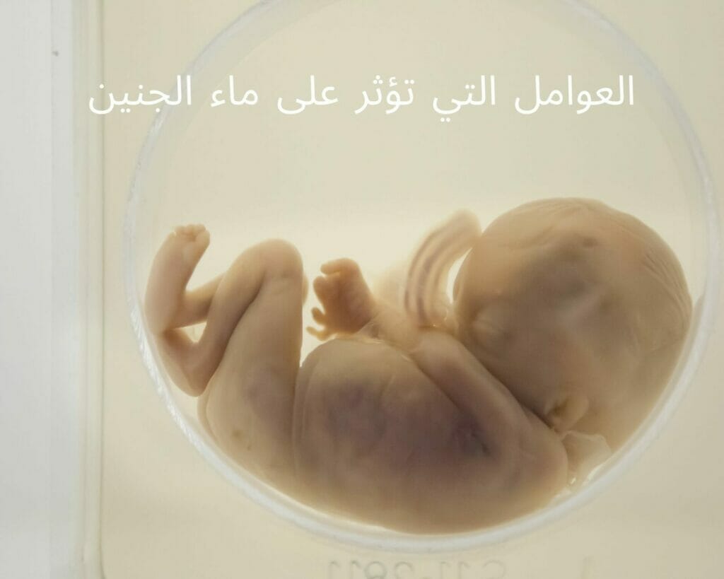 العوامل التي تؤثر على ماء الجنين