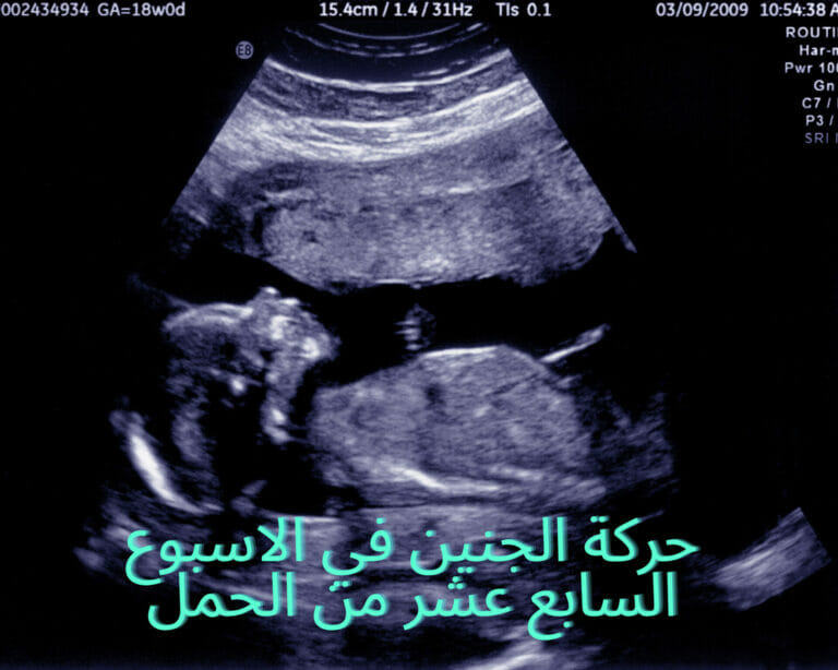حركة الجنين في الاسبوع السابع عشر من الحمل