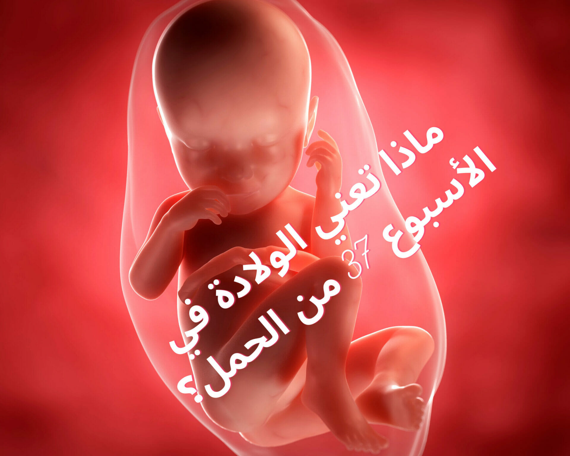 ماذا تعني الولادة في الأسبوع 37 من الحمل؟