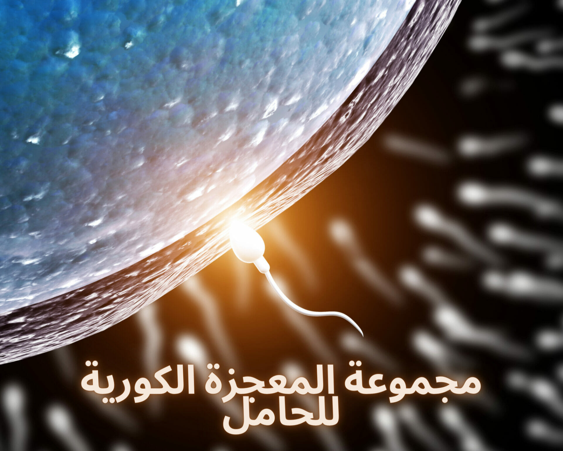 مجموعة المعجزة الكورية للحامل